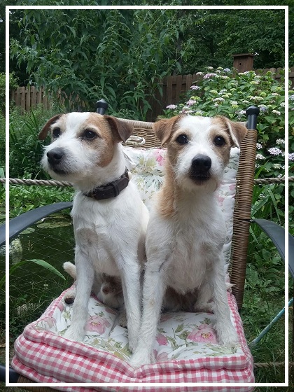 Noodles und Penny