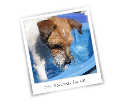 Sommer