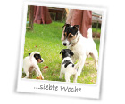 SiebteWoche