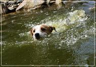 Penny im Wasser